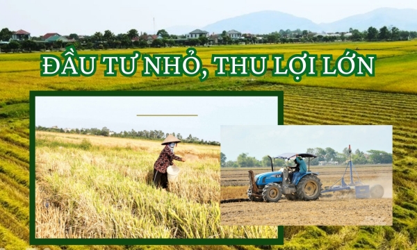 Đầu tư nhỏ, thu lợi lớn