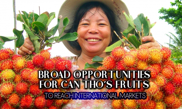 Broad opportunities for Can Tho’s fruits to reach international markets