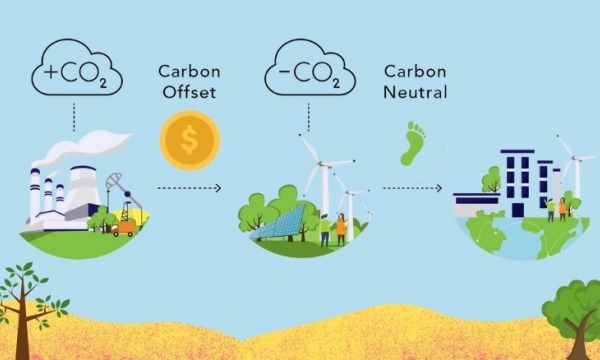 The formation of green finance and the carbon credit market