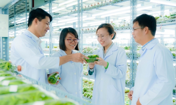70% of agricultural production in Ho Chi Minh City will apply high technology
