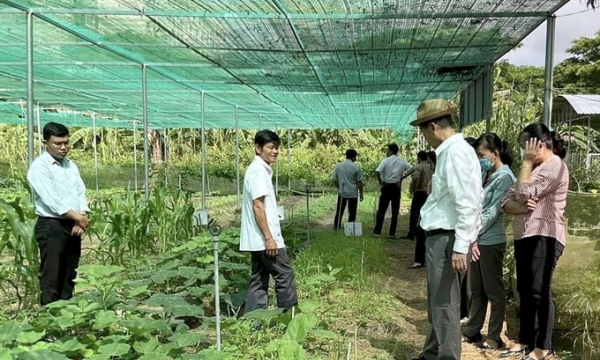 Developing organic agriculture in Dong Thap province