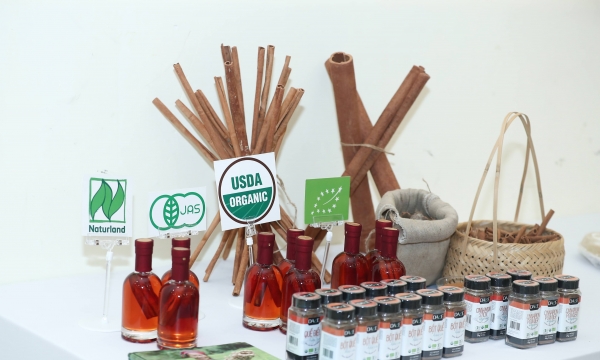 Strengthen public-private cooperation to develop the sustainable cinnamon industry