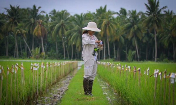 Research-based approaches are the backbone for Vietnam’s green growth
