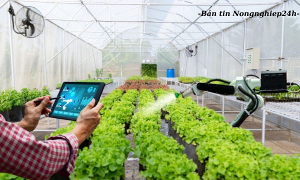 Định hướng phát triển khoa học - công nghệ về nông nghiệp năm 2024