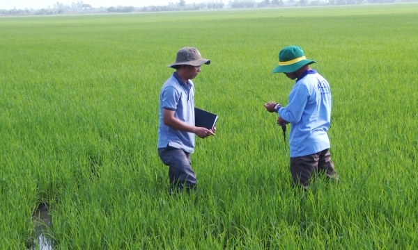 Đề xuất thành lập hai trung tâm khảo kiểm nghiệm lĩnh vực trồng trọt
