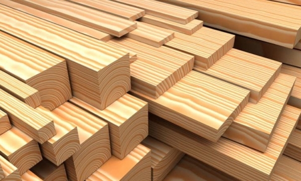 Việt - Mỹ hợp tác nâng cao năng lực chống buôn bán gỗ trái phép
