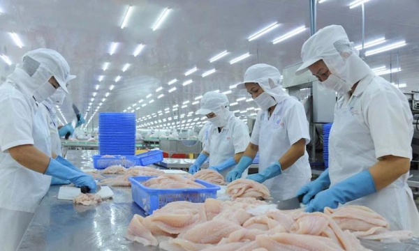 Hàn Quốc đề xuất kiểm soát 3 loại bệnh nguy hiểm với thủy sản nhập khẩu