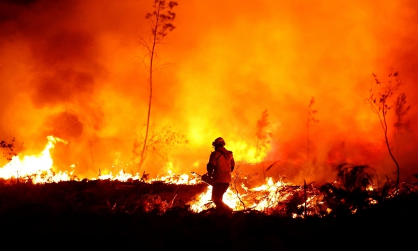 Nắng nóng gay gắt, nguy cơ cháy rừng cấp cực kỳ nguy hiểm