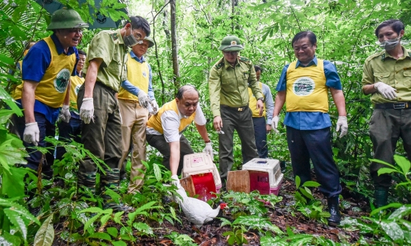 Bộ trưởng Lê Minh Hoan: 'Hồn' của rừng còn chưa được khai thác