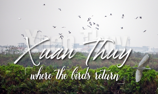 Xuan Thuy - Where the birds return