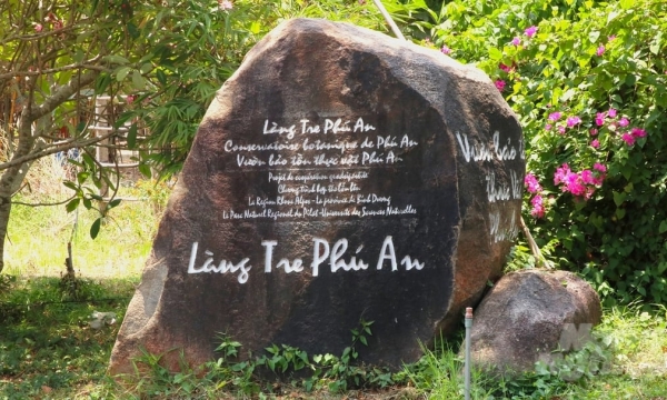 The first bamboo ecosystem conservation area in Vietnam