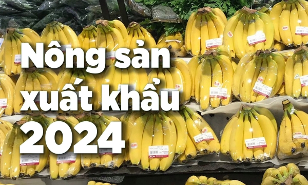 Nông sản Việt - nguồn cung chiến lược cho các siêu thị, tập đoàn toàn cầu