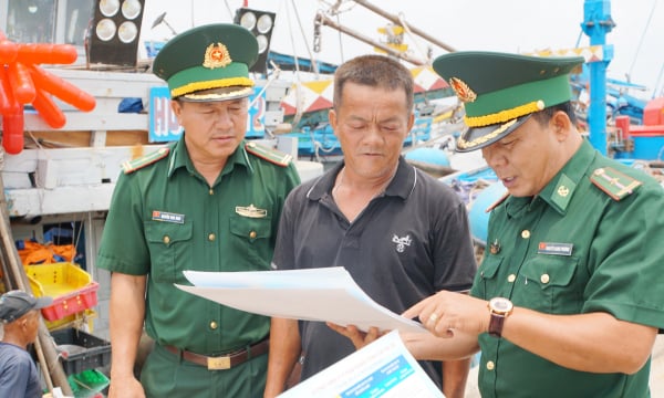 Requesting Ba Ria – Vung Tau to plan for the reception of EC Delegation on IUU