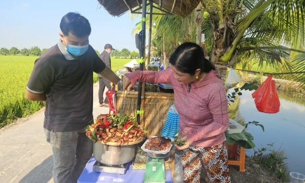 Countryside market, the mark of a cooperative in the Thap Muoi area