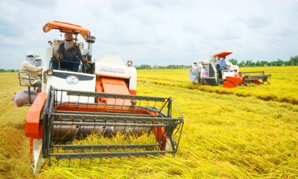 Ngân hàng Thế giới đề xuất cách tiếp cận mới trong sản xuất lúa phát thải thấp