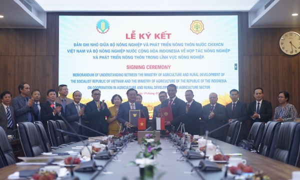 Vietnam and Indonesia collaborate to enhance food security