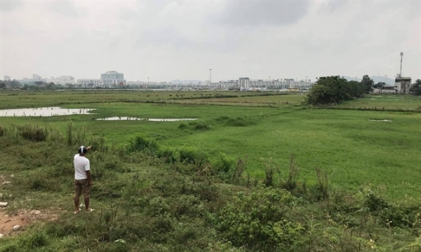 Quy hoạch đô thị khiến hơn 40 ha đất hai vụ lúa bỏ hoang