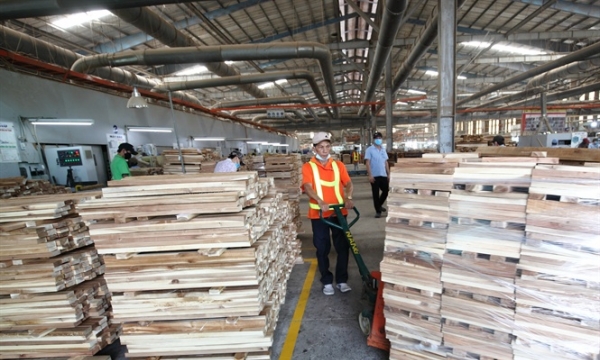 Thương mại gỗ hợp pháp và nhận dạng gỗ