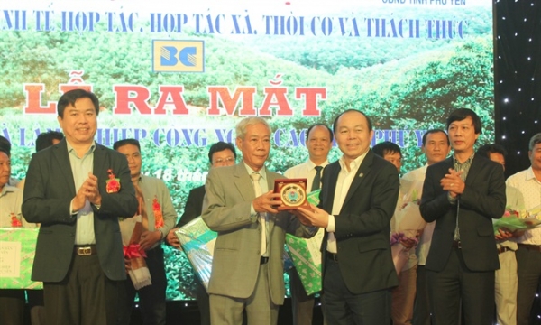 Ra mắt Hợp tác xã Lâm nghiệp công nghệ cao tỉnh Phú Yên