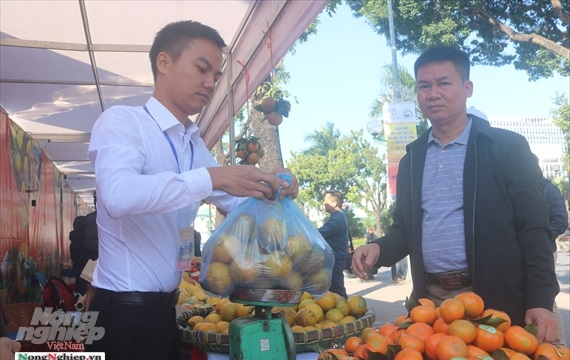 Tuần lễ cam và nông sản Hưng Yên năm 2019