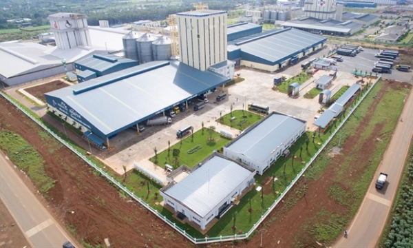 Hạn chế đầu tư nhà máy thức ăn chăn nuôi vùng ĐBSH