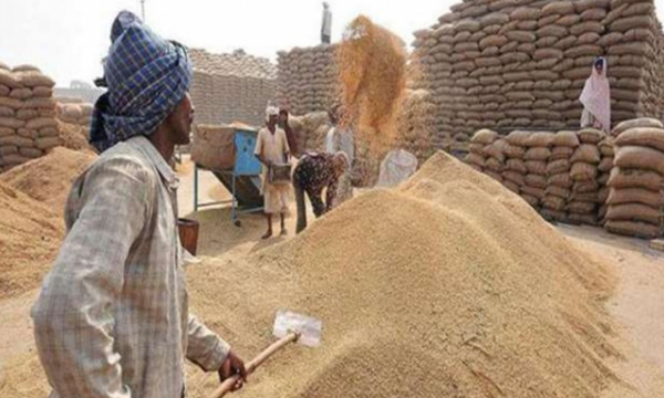 Ấn Độ ký hợp đồng xuất khẩu được 70.000 tấn gạo 100% tấm