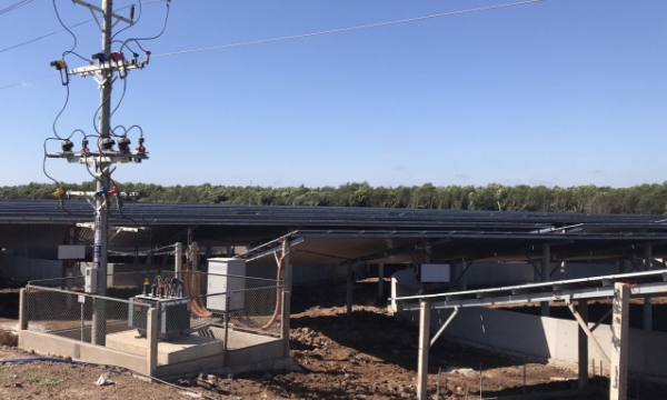 [Kỳ 7] Công ty 'ma' làm điện mặt trời núp bóng trang trại nuôi thuỷ sản