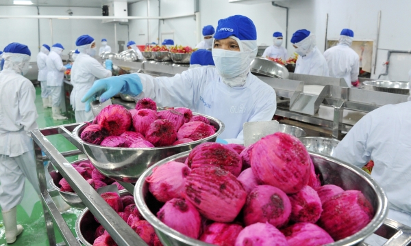 Opportunities for Vietnamese agricultural products during the Covid-19 pandemic