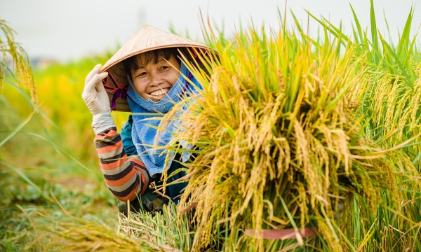 New development opportunities for Vietnam’s agriculture