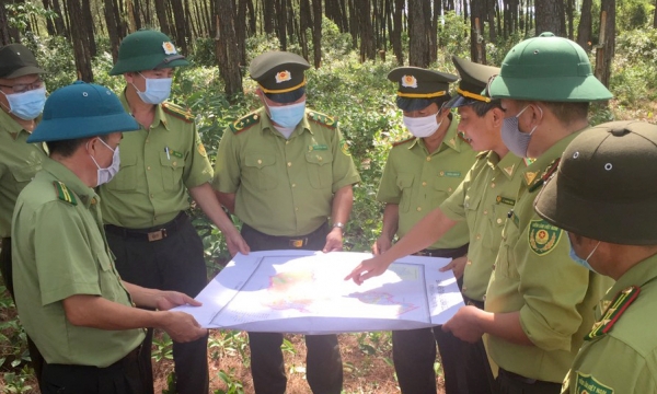 Strengthen urgent measures to prevent and fight forest fires