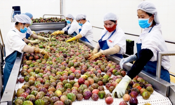 Agriculture exports reach US$ 8 billion in the first two months of the year