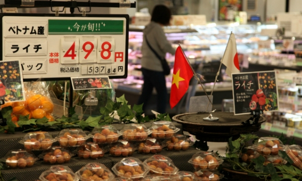 Two noteworthy keywords for Vietnamese agro products to capture Japan maket