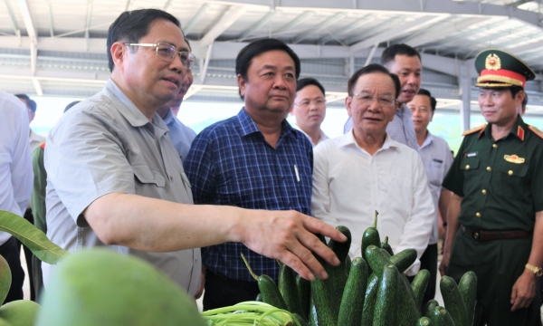 Agricultural exports aim to reach USD 55 billion