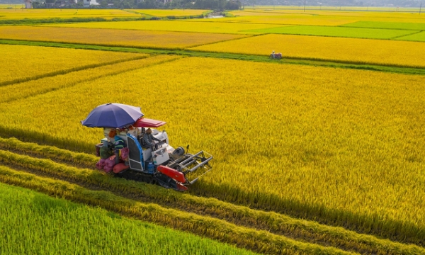 Việt Nam là nhà cung cấp lương thực minh bạch, trách nhiệm, bền vững