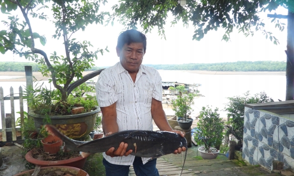 Thức dậy thủy sản Bình Phước [Bài 4]: Bảo tồn đặc sản cá nước ngọt