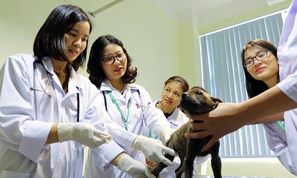 Established the Vietnam - Korea Livestock Research and Training Institute