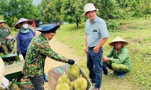 Doanh thu từ trái cây của Hoàng Anh Gia Lai tăng mạnh