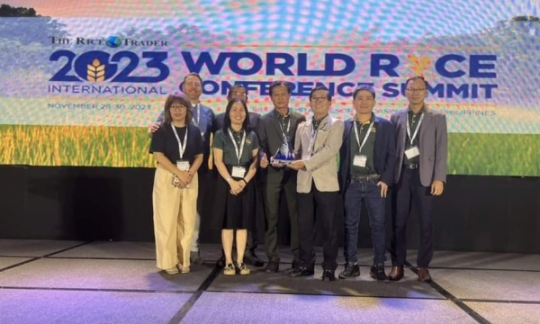 Việt Nam đoạt giải 'Gạo ngon nhất thế giới' tại cuộc thi The Rice Trader 2023