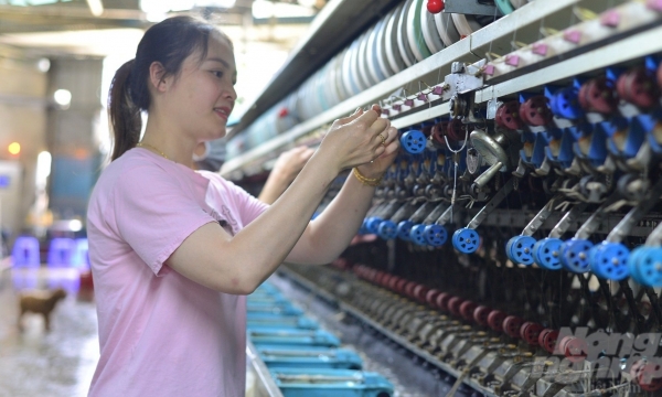 Uzbekistan mong muốn hợp tác với Việt Nam phát triển dâu tằm tơ