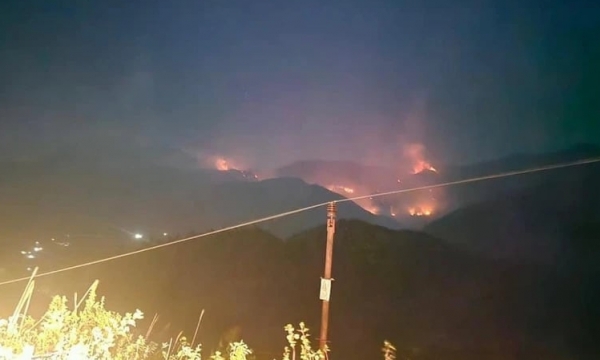 Cháy rừng ở Lào Cai: Bộ NN-PTNT chỉ đạo khẩn