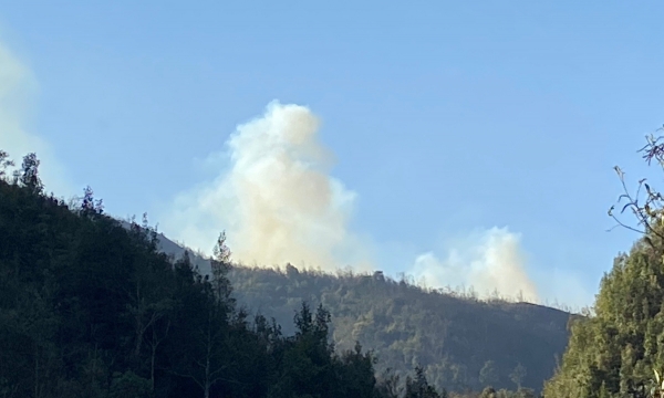 Khoanh 25 ha rừng để dập đám cháy ở Vườn quốc gia Hoàng Liên