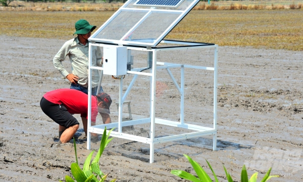 Implementing low-carbon rice farming model attaching to green growth in Mekong Delta