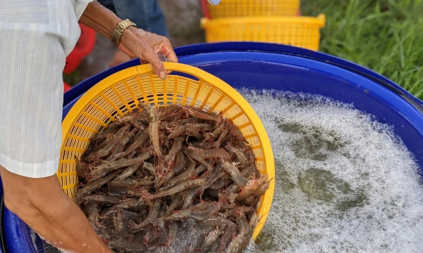 Skretting Việt Nam hướng đến nuôi trồng thủy sản không phát thải ròng