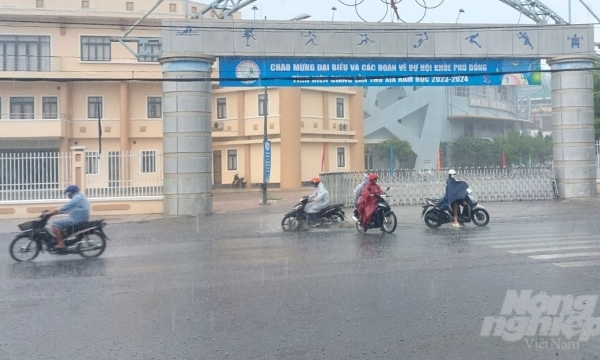 Kiên Giang và Hậu Giang đón 'cơn mưa vàng' giải nhiệt khô hạn