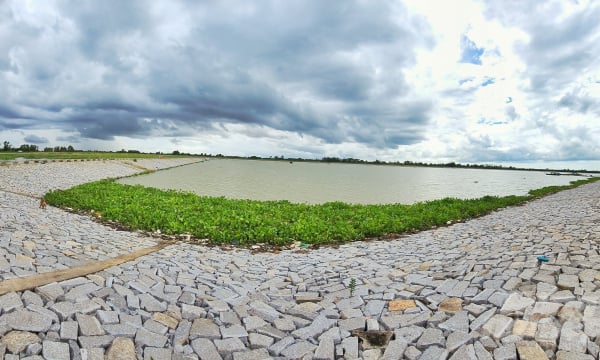 Tighten exploitation of underground water to preserve freshwater ‘package’ of Mekong Delta