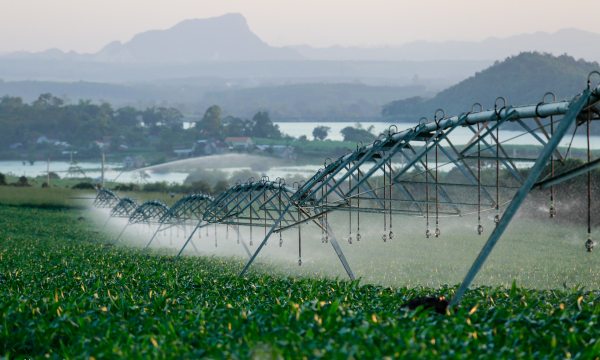 Dòng chảy xanh, trang trại sạch: Sử dụng hiệu quả tài nguyên nước tại trang trại TH