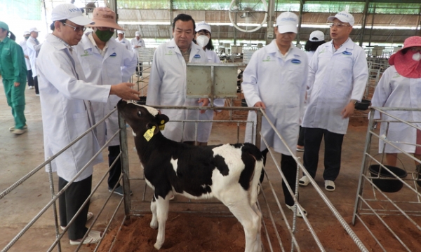 Tay Ninh urges European businesses to invest into high-tech agricultural ecosystem