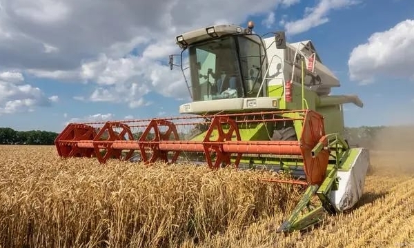 Giá lúa mì 'bùng nổ', Trung Quốc đứng trước thềm khủng hoảng lương thực