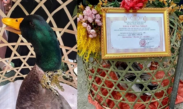 Lạng Sơn lần đầu trao giải 'hoa hậu vịt', bán đấu giá 35 triệu đồng