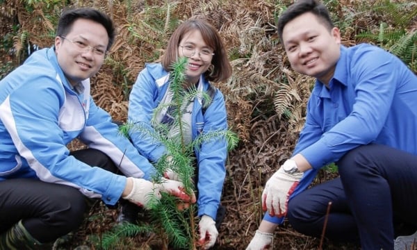 Đoàn Thanh niên Bộ NN-PTTNT với  ‘Triệu cây xanh - Vì một Việt Nam xanh’